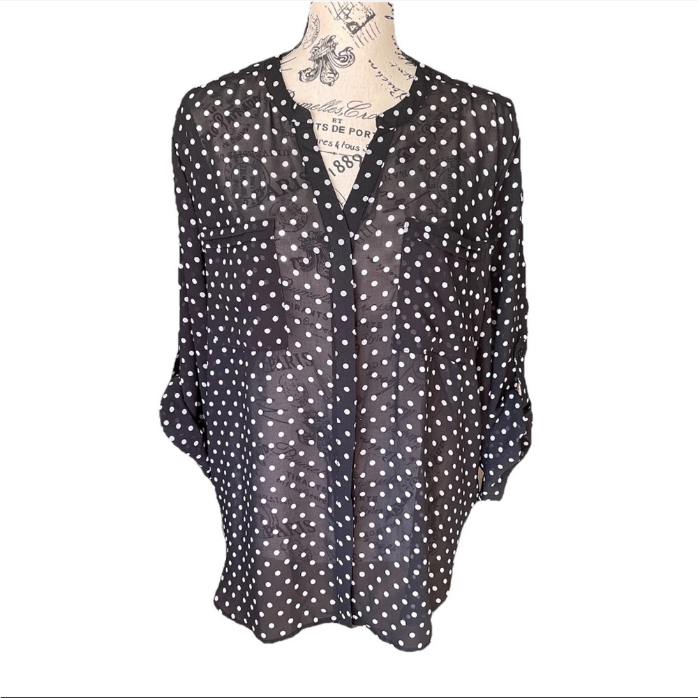 Covington Black Polka Dot Chiffon Blouse XL